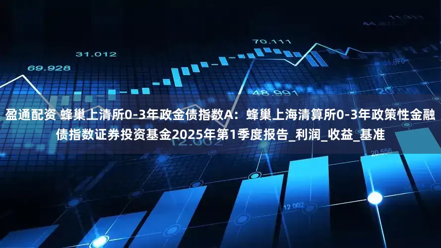 盈通配资 蜂巢上清所0-3年政金债指数A：蜂巢上海清算所0-3年政策性金融债指数证券投资基金2025年第1季度报告_利润_收益_基准