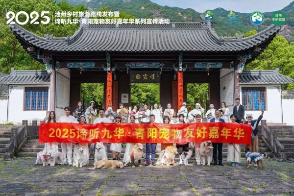 金领速配 13省市宠物家庭齐聚池州，共赴乡村旅游与萌宠之约